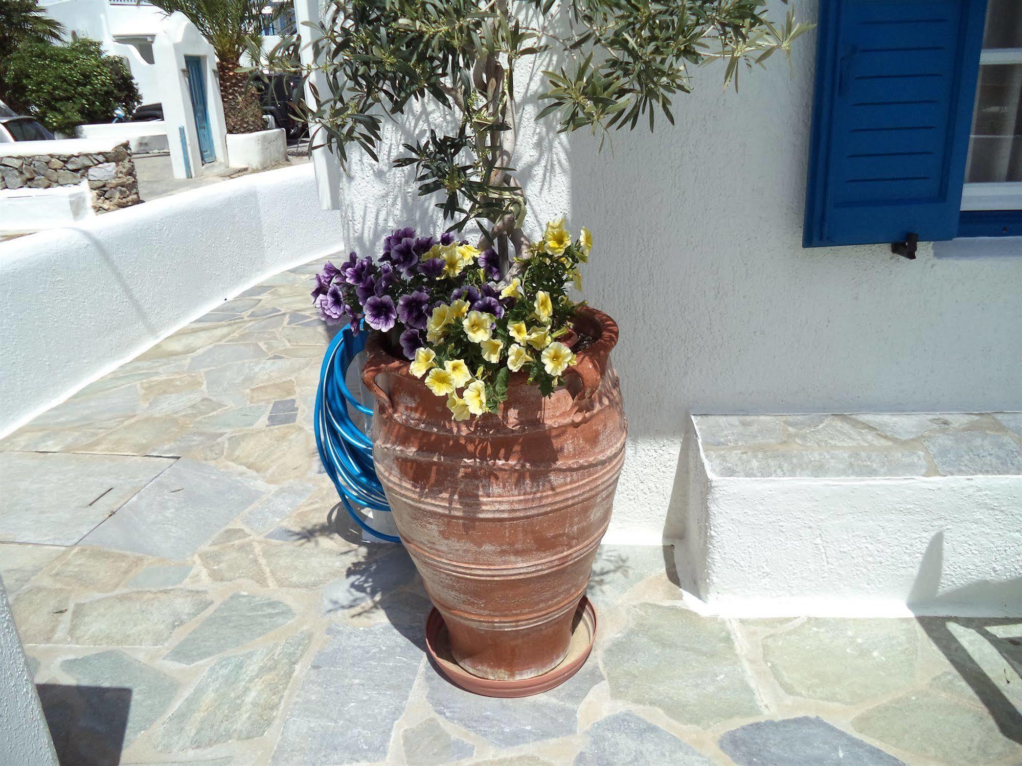 Filoxenia Apartments Ornos (Mykonos) Exterior foto